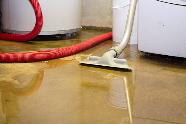 Best Water damage restoration cost  in Orwigsburg, PA