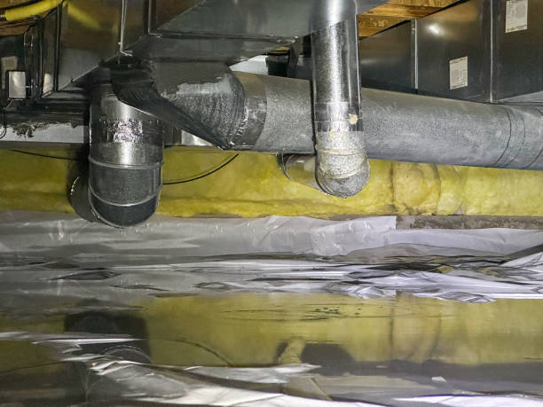 Best Water damage restoration mold remediation  in Orwigsburg, PA