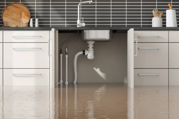 Best Water damage mitigation services  in Orwigsburg, PA