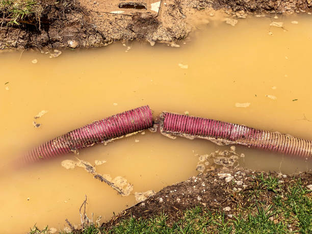 Best Sewage cleanup and water damage restoration  in Orwigsburg, PA